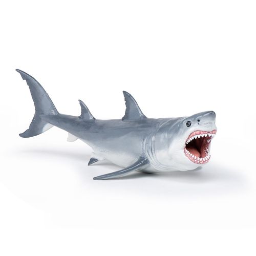 Les Dinosaures Mgalodon