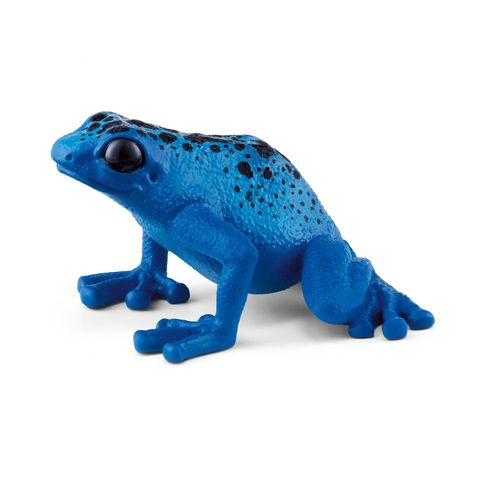 Wild Life Grenouille Dendrobate