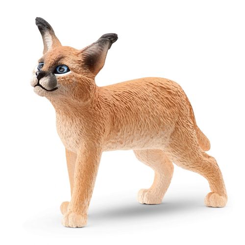 Wild Life Jeune Caracal
