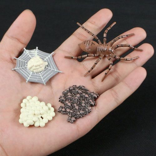 Figurines D'action De Croissance De Papillon En Fuchsia Jetable,Modle De Subvention De Vie,Simulation D'animaux - Type Spider