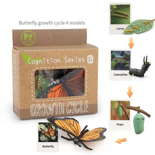 Figurines D'action Papillon Et Grenouille Jetables,Jouet De Simulation,Modle De Subvention De Croissance Des Animaux,ducation Mocntessori,Mignon Danemark Y - Type Butterfly-A