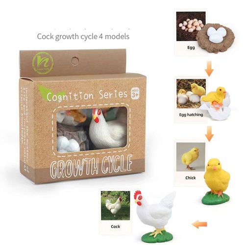 Figurines D'action Papillon Et Grenouille Jetables,Jouet De Simulation,Modle De Subvention De Croissance Des Animaux,ducation Mocntessori,Mignon Danemark Y - Type Chicken-A