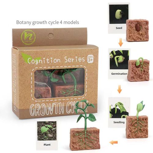 Figurines D'action Papillon Et Grenouille Jetables,Jouet De Simulation,Modle De Subvention De Croissance Des Animaux,ducation Mocntessori,Mignon Danemark Y - Type Plant-A