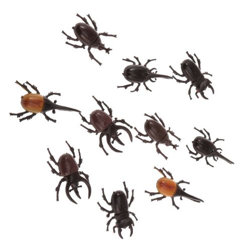 Figurines De Coccinelle Vive, 10 Pices, Collection D'Insectes, Jouet Amusant
