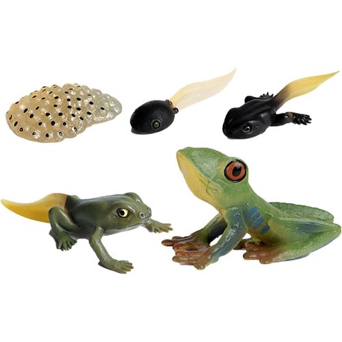 Bouée De Sauvetage En Forme De Grenouille Pour Enfants De 3 À 12 Ans