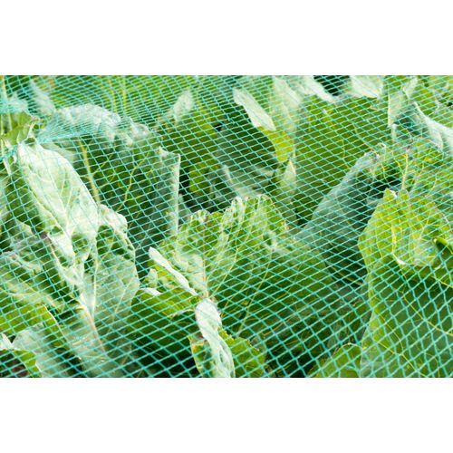 Esforzarse 6 X 10 M Filet Anti-oiseaux, Protection Pour Bassins D'eau
