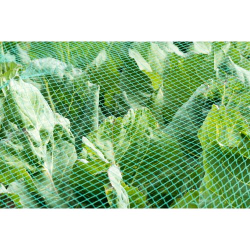Filet De Bassin 30 M X 12 M, Filet  Feuilles, Filet De Silo, Filet De Protection Contre Les Feuilles, Filet De Protection Contre Les Oiseaux, Protection De Bassin De Jardin