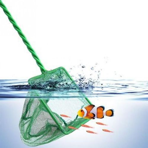 Filet De Pche Vert Portable  Longue Poigne Pour Aquarium, Carr, Filet D'atterrissage Pour Poisson, Objets Flottants, Outils De Nettoyage