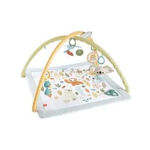 Fisher-Price Hrb15 Gymnase Et Tapis D'veil Pour Bb Tissu, Plastiqu