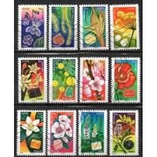 Fleurs Et Douceurs Srie Complte Anne 2022 Autoadhsifs N 2133 2134 2135 2136 2137 2138 2139 2140 2141 2142 2143 2144 Yvert Et Tellier