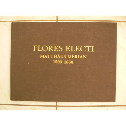 Flores Electi Ex Matthaei Meriani Topographiae Germaniae Xxiv Volumibus. Matthus Merian 1593-1650   de Matthus Merian, Franz Lerner