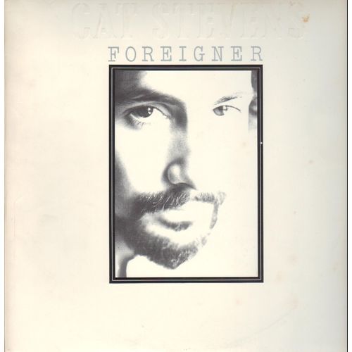Foreigner - Stevens Cat