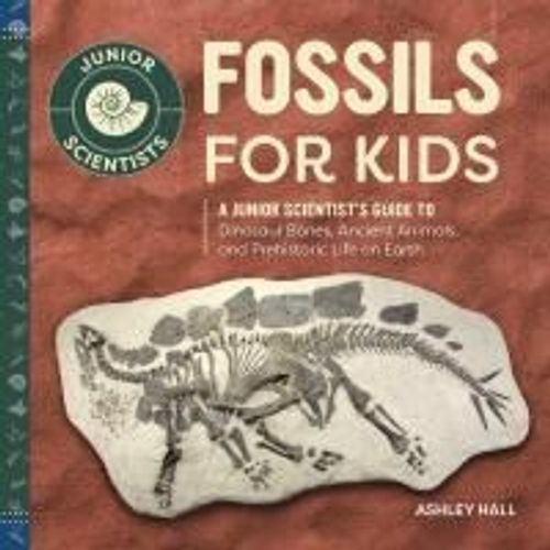 Fossils For Kids    Format Broch 