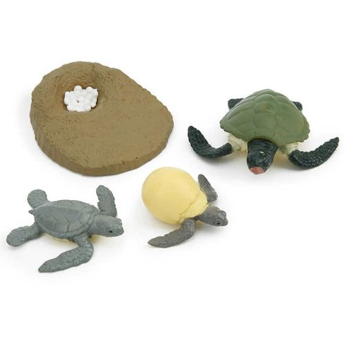 Fournitures ducatives Pour La Petite Enfance, Simulation Du Cycle De Vie Des Animaux, Modle De Cycle De Croissance Des Animaux, Jeu De Jouets De Poussin Et De Tortue