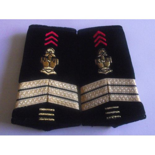 Fourreaux Grade Sergent-Chef Plus 15 Annes 17rgp -Genie Parachutiste- Arme De Terre