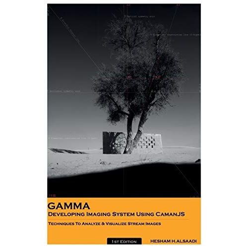Gamma: Developing Imaging System Using Camanjs, Techniques To Analyze & Visualize Stream Images   de H.Alsaadi, Hesham  Format Broch 