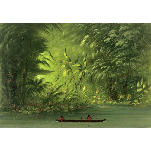 George Catlin : Entre Dans Une Lagune, Rive De L'amazonie, 1854-1869 - Puzzle 12 Pices
