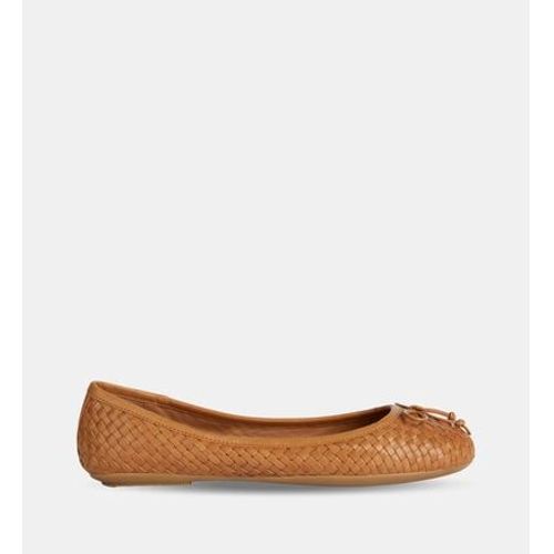 Geox - Ballerines Palmaria En Cuir - Marron - 36