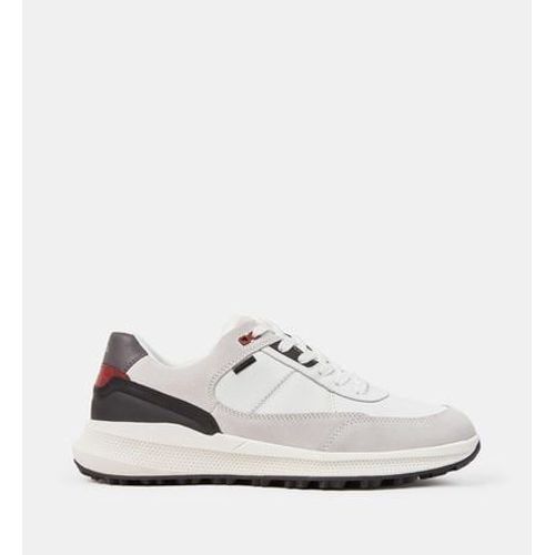 Geox - Baskets Basses Pg1x Cuir SuDe Et Nappa - Multicolore - 42