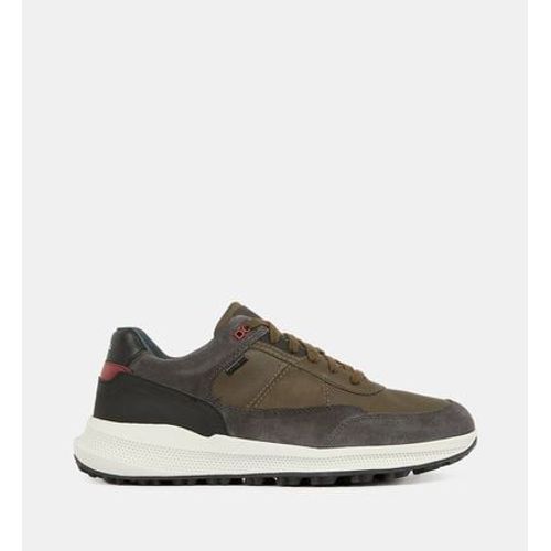 Geox - Baskets Basses Pg1x - Multicolore - 40