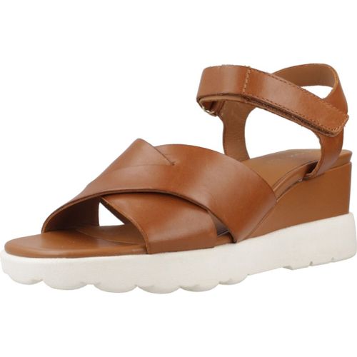 Geox D Spherica Ec6 Colour Marron - 38