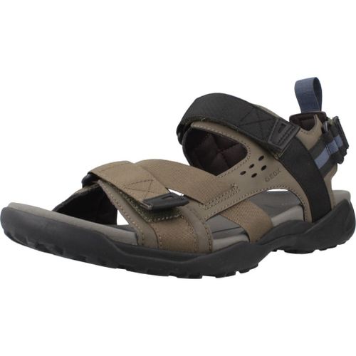 Geox U Terreno + Grip Colour Vert 43