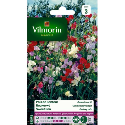 Graines De Pois De Senteur Galaxie Vari Vilmorin
