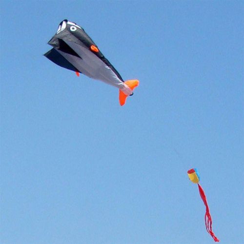 Grand Cerf-Volant De Plage En Forme De Dauphin, 3d, Gant, Sans Cadre, Avec Huile De Paraffine Douce, Cadeau Pour Enfants Et Adultes