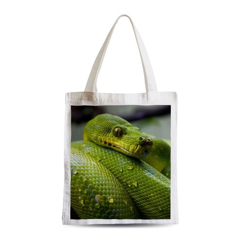 Grand Sac Shopping Plage Etudiant Python Vert Sublime Serpent Photo Nature Sauvage Reptile