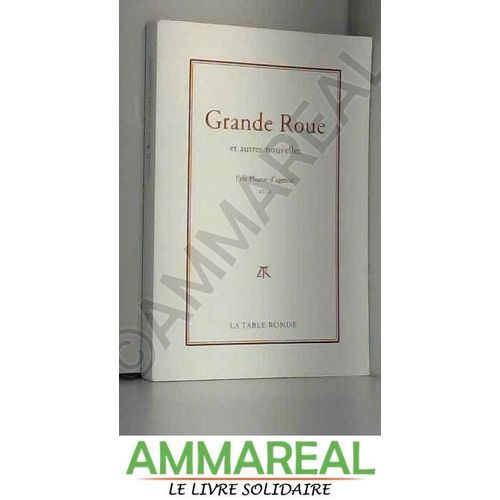 Grande Roue (Anthologie - Prix Plume D'agence 2014)   de Nettoyeur vapeur  Format Poche 