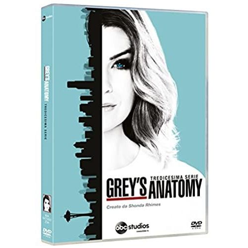 Grey's Anatomy - Season 13 (6 Dvd) Box Set Dvd Italian Import de Unknown