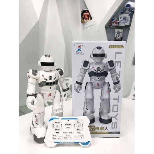 GRIS - Robot lectrique RC  Induction gestuelle, interrupteur marche/glissement, Puzzle, lumire LED, musique et danse, histoire, tlcommande, modle de jouet