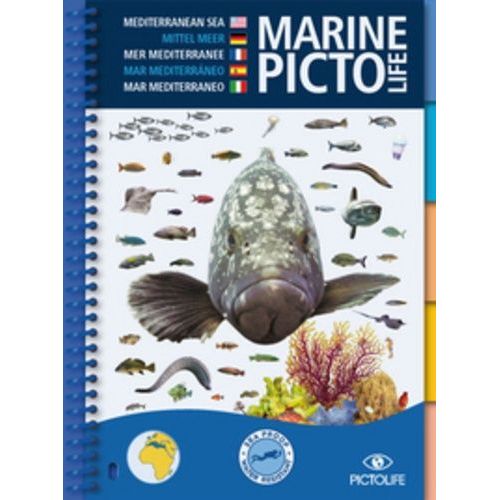 Marine Pictolife - Mer Mditerrane   de Dray Antoine  Format Poche 