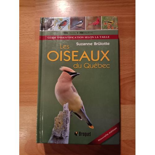 Guide D'identification Selon La Taille Les Oiseaux Du Québec Suzanne ...