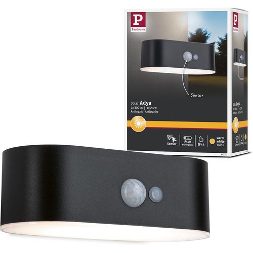 Hamiltion-Adya 94571 Applique Murale Solaire D'extrieur Led Avec Dtecteur De Mouvement Ip44 Incluse 1 X 2,5 W Blanc Chaud Noir Sans Fil Plastique Rechargeable 3000 K
