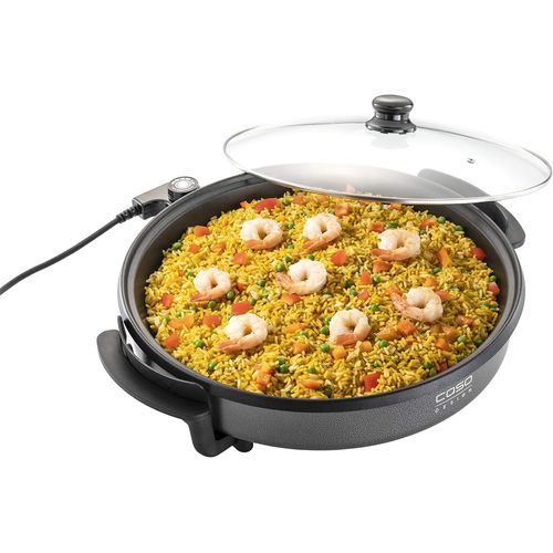 Hamiltion-Pole  Frire Professionnelle-Pole lectrique Multi-Usages Pour Pizzas, Hamburgers, Lgumes, Etc. Jusqu' Env. 240 C, Fonction Maintien Au Chaud, 1500 Watts, Pour Les Dplacements