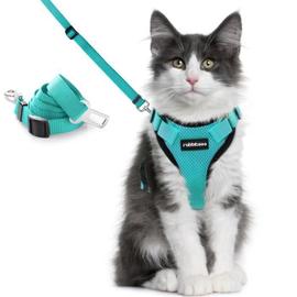 Harnet Pour Chat pas cher - Achat neuf et occasion