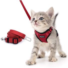 Harnais de sécurité pour chat, gilet anti fuite et adaptateur de ceinture  de sécurité de voiture, harnais en maille souple et réfléchissant réglable  pour chaton et chiot - 21MXQT0506A04552