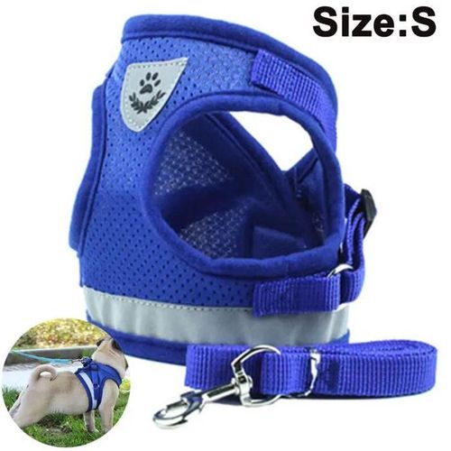 Harnais Et Laisse Pour Chien Harnais Pour Chien Rembourr En Maille Douce Pour Chiots Chats Rflchissant S Bleu Pzcc