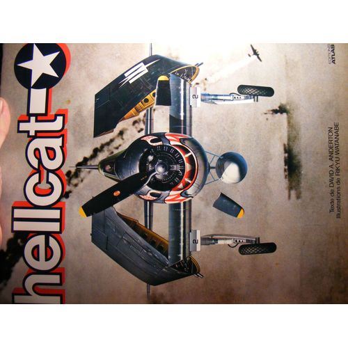 Hellcat   de DAVID A. ANDERTON  Format Beau livre 