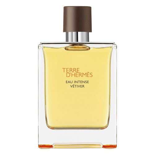 Terre D'herms - Herms - Eau Intense Vtiver