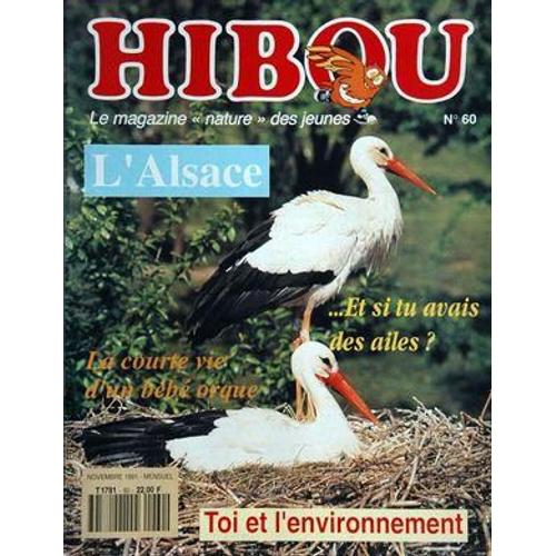 Hibou N 60 Du 01/11/1991 - Le Magazine Nature Des Jeunes L'alsace - Si Tu Avais Des Ailes - La Courte Vie D'un Bebe Orque