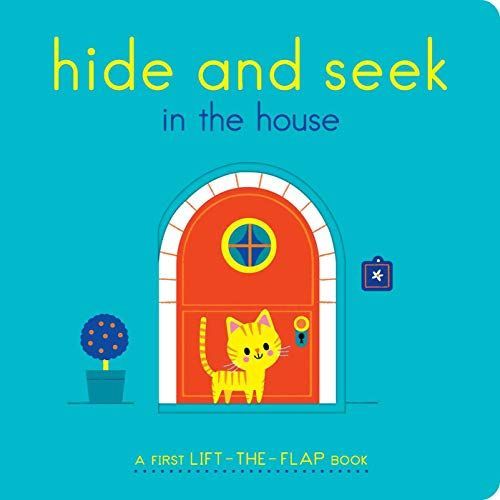 Hide And Seek In The House: A First Lift-The-Flap Book    Format Cartonn 