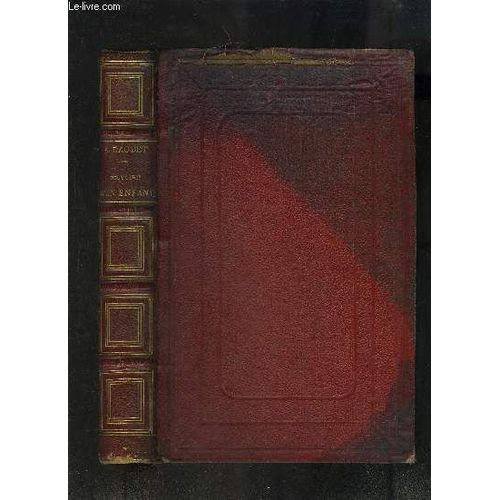 Histoire D Un Enfant- Le Petit Chose   de alphonse daudet