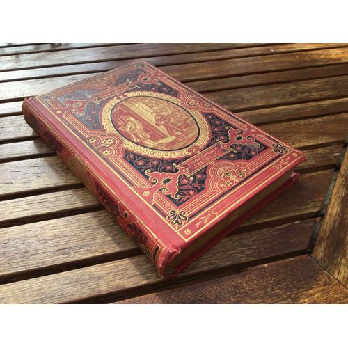 Histoire D'un Enfant Le Petit Chose   de Alphonse daudet  Format Beau livre 