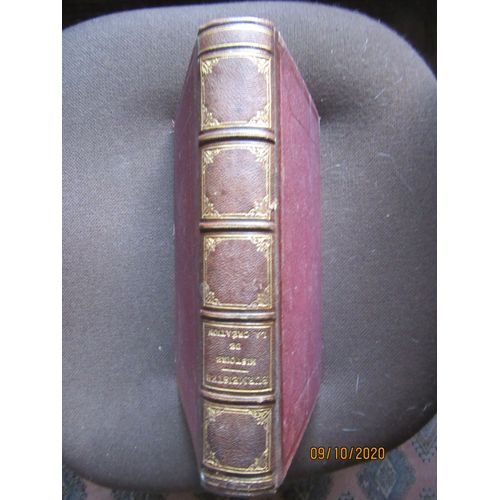 Histoire De La Creation. Expos Scientifique Des Phases De Dveloppement Du Globe Terrestre Et De Ses Habitants. Traduction Par E. Maupas, Revue Par Le Professeur Giebel.   de BURMEISTER H. 