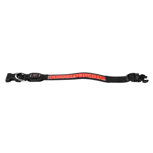 Hjlian Collier Pour Chien De Compagnie, Rechargeable Par Usb, Led Lumineuse, Securite Nocturne, Reglable (Rouge, Taille M)