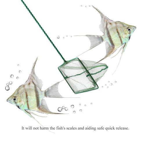 Hjlian Epuisette De Peche Portable Carree Verte Pour Aquarium, Objets Flottants, Outils De Nettoyage, 4 Pouces