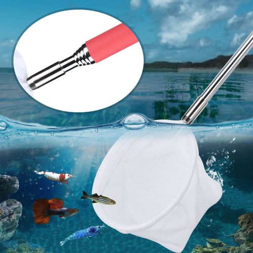Hjlian Filet De Peche Retractable 3d De Forme Carree Et Ronde Pour Attraper Des Crevettes Dans Un Aquarium