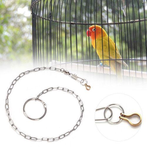 Hjlian Harnais De Dressage En Acier Inoxydable Pour Perroquets Et Oiseaux (Aratinga Solstitialis)